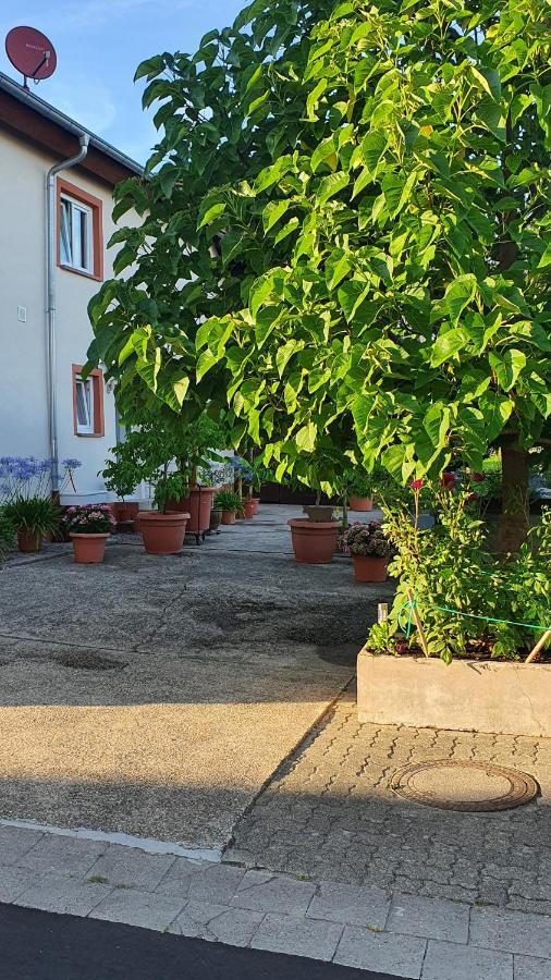 Ferienwohnung "Zum Alten Kuhstall" Oberhausen  Kültér fotó
