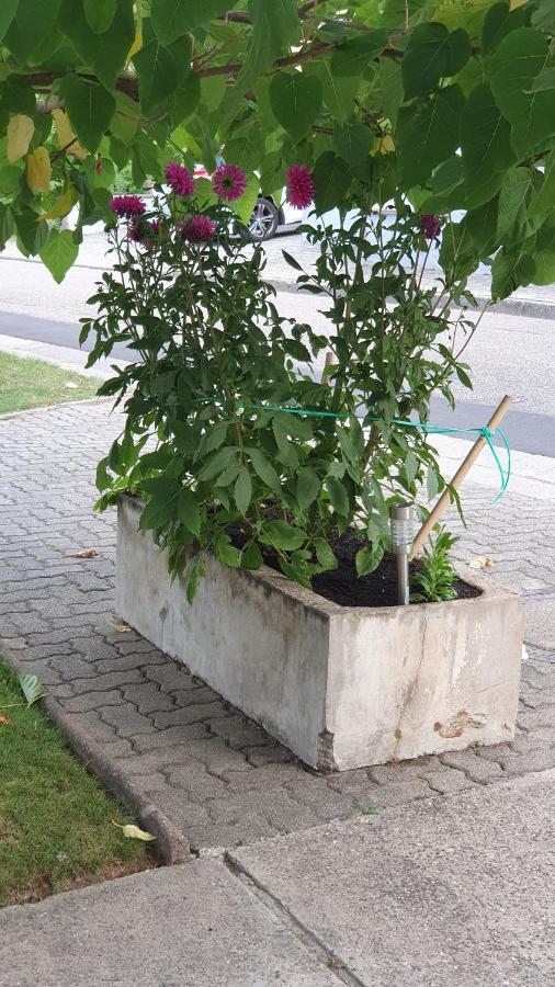 Ferienwohnung "Zum Alten Kuhstall" Oberhausen  Kültér fotó