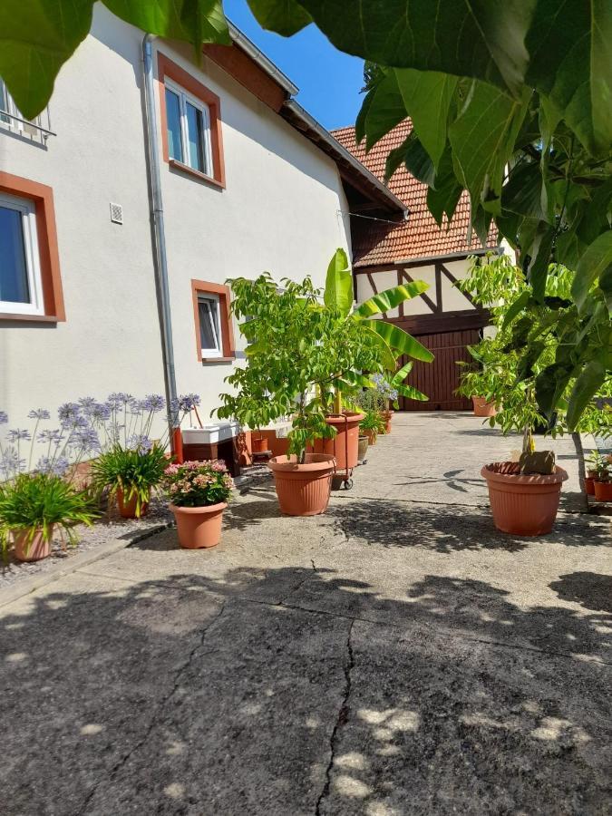 Ferienwohnung "Zum Alten Kuhstall" Oberhausen  Kültér fotó