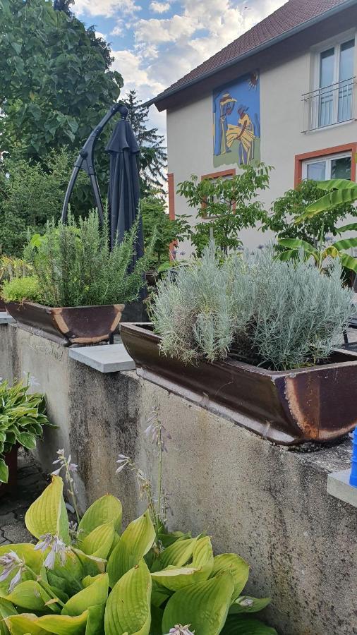 Ferienwohnung "Zum Alten Kuhstall" Oberhausen  Kültér fotó
